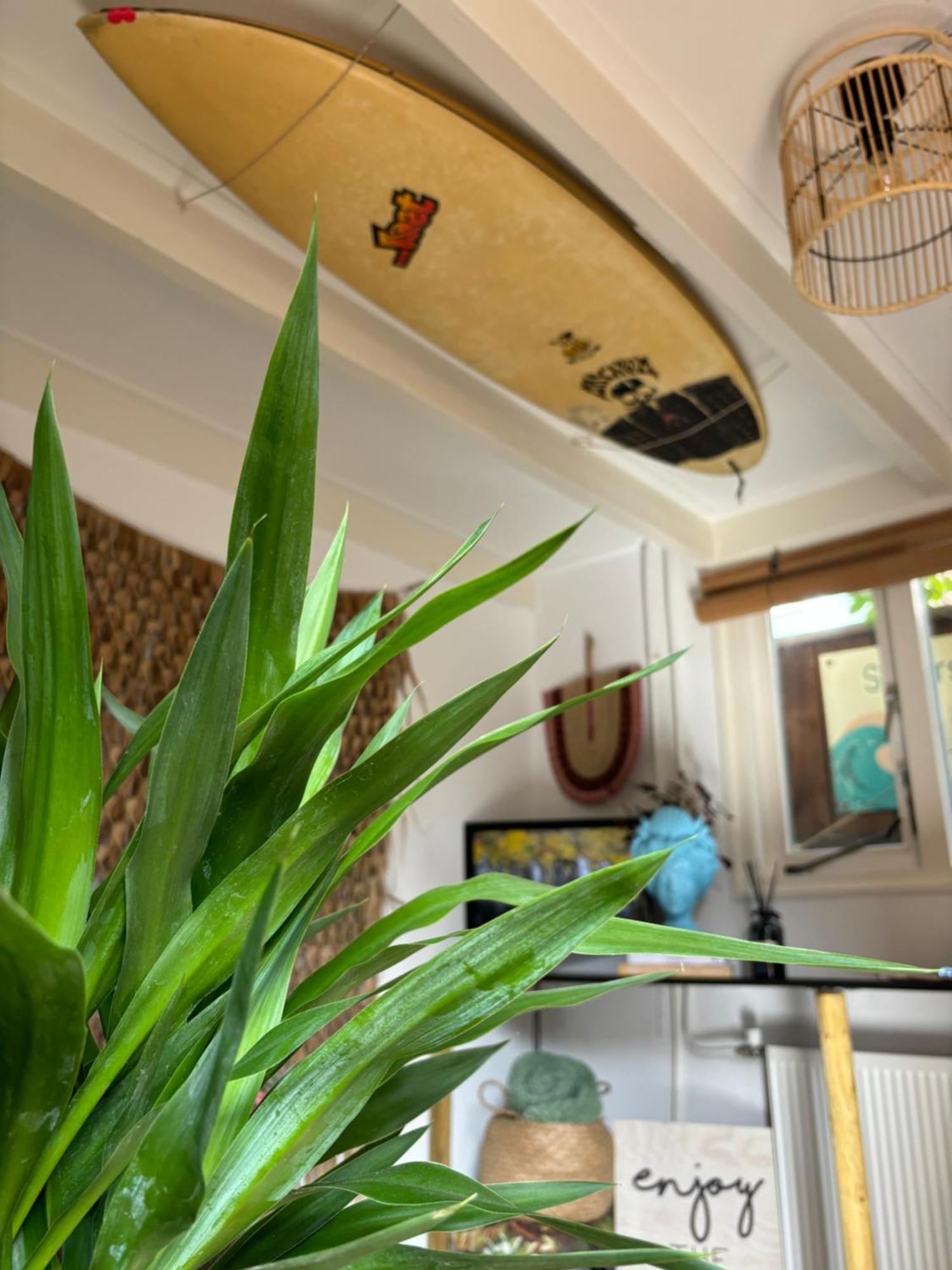 Surfers Paradise Tiny House * Noordwijk