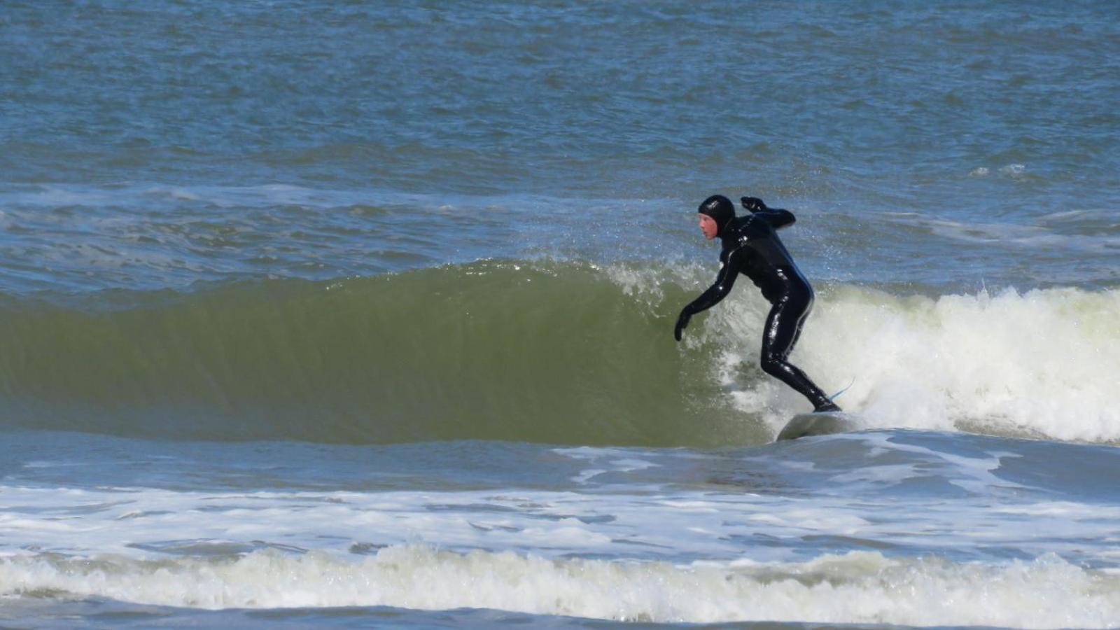 Apartment Surfers Paradise Tiny House Noordwijk